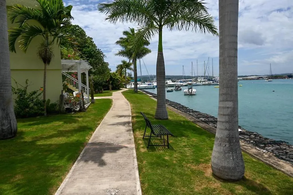 D'Escape At Seawind On The Bay Apartment Montego Bay